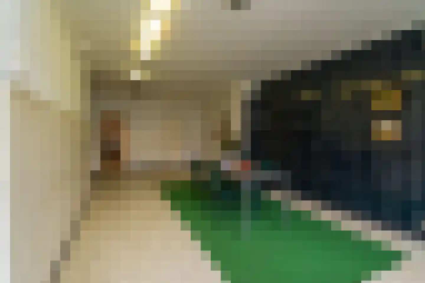 Abdij van Averbodestraat 20 Tilburg thumbnail 8