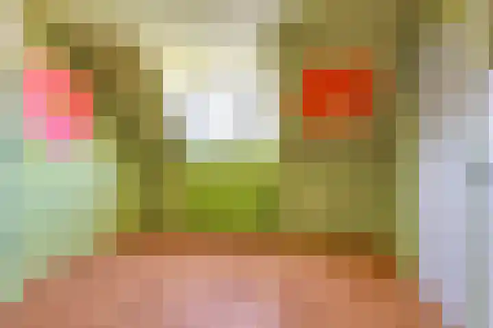 Abdij van Egmondstraat 29 Tilburg thumbnail 32