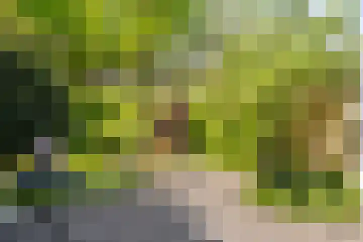 Abdij van Egmondstraat 49 Tilburg thumbnail 38