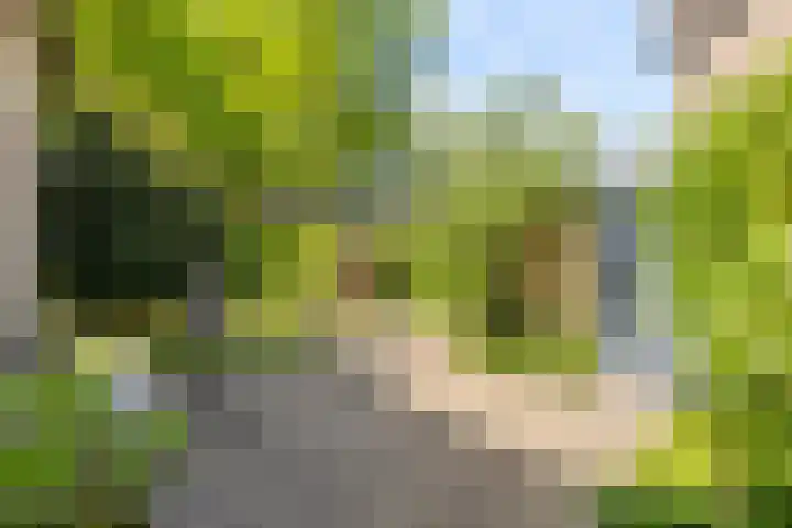 Abdij van Egmondstraat 49 Tilburg thumbnail 39