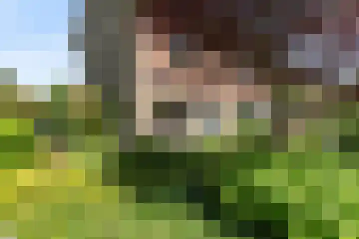 Abdij van Egmondstraat 49 Tilburg thumbnail 47