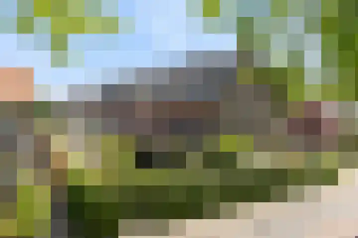 Abdij van Egmondstraat 49 Tilburg thumbnail 48