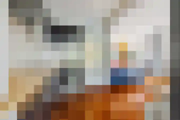 Abdij van Egmondstraat 49 Tilburg thumbnail 7
