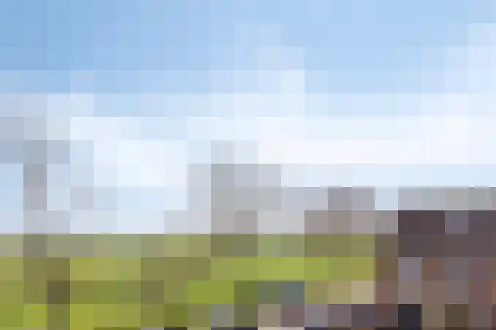 Abdij van Rijnsburglaan 10 Oud Ade thumbnail 23