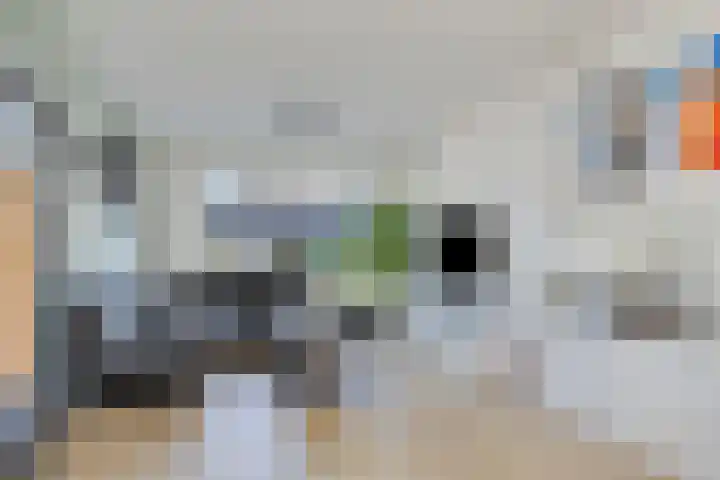 Abdij van Rijnsburglaan 10 Oud Ade thumbnail 4