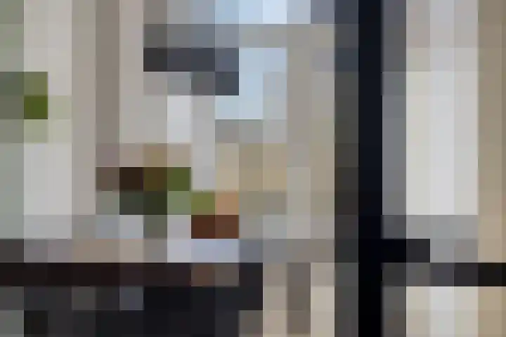 Abdij van Rijnsburglaan 10 Oud Ade thumbnail 7