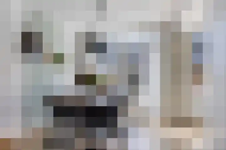 Abdij van Rijnsburglaan 10 Oud Ade thumbnail 8