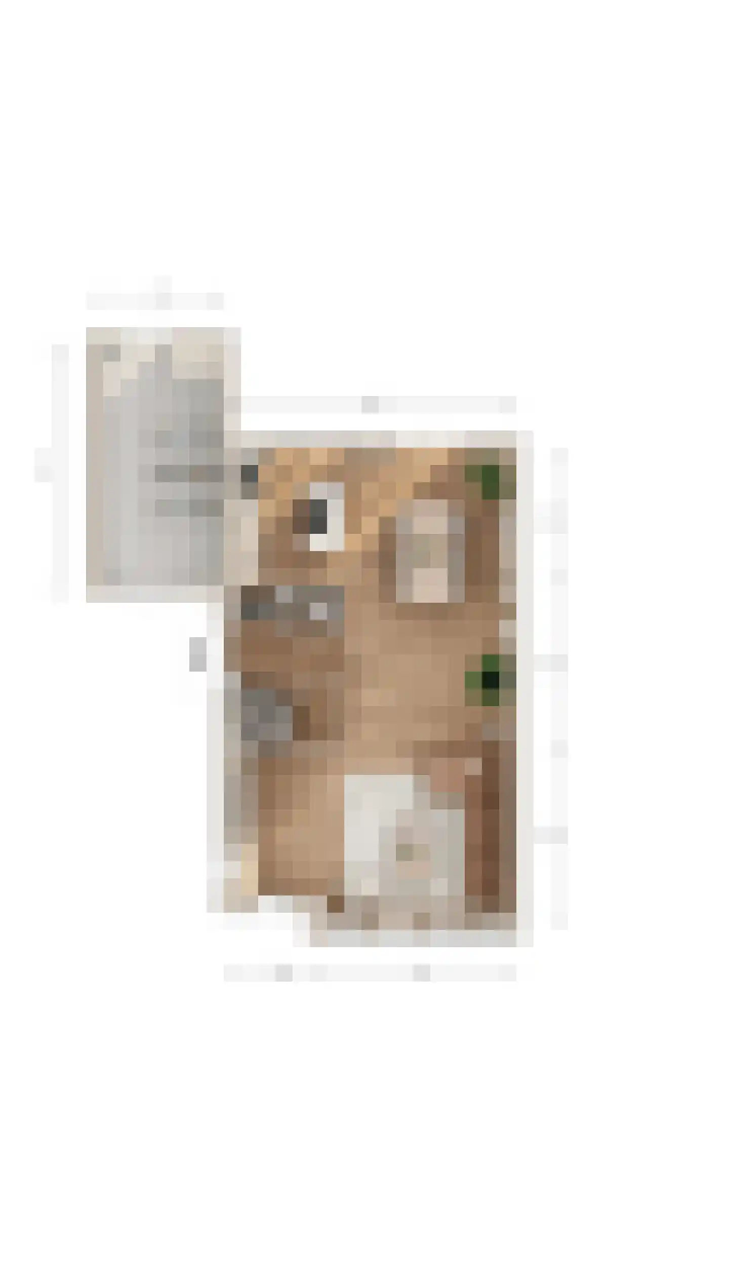 Abdij van Rijnsburglaan 201 Monster thumbnail 8