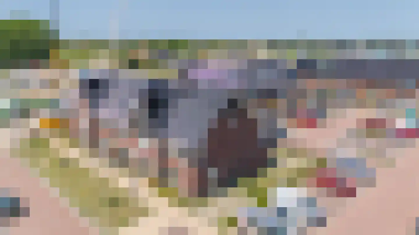 Abdij van Rijnsburglaan 26 Monster thumbnail 19