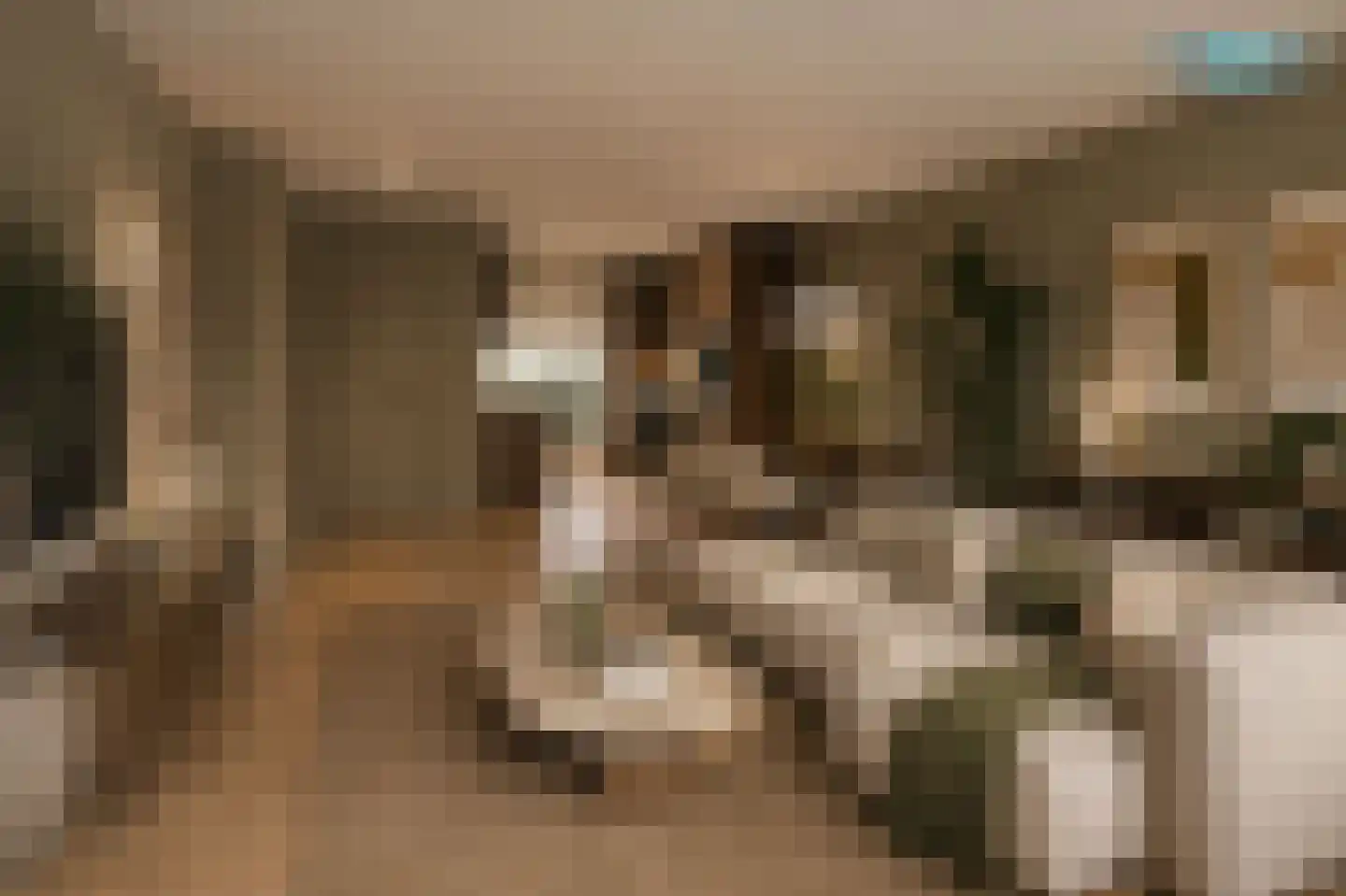 Abdij van Rijnsburglaan 26 Monster thumbnail 5