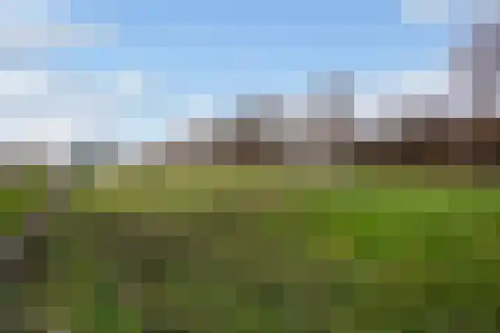 Abdij van Rijnsburglaan 8 Monster thumbnail 21