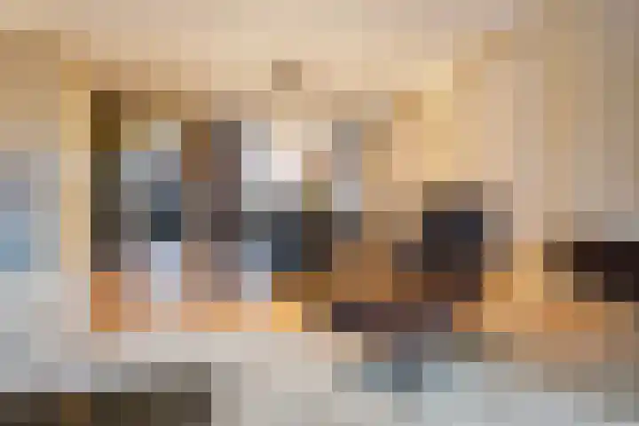 Abdij van Rijnsburglaan 8 Monster thumbnail 28