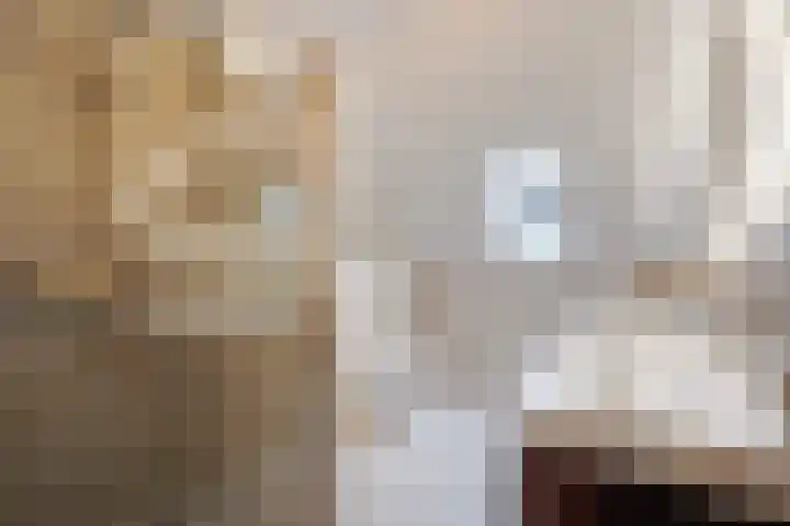 Abdij van Rijnsburglaan 8 Monster thumbnail 34