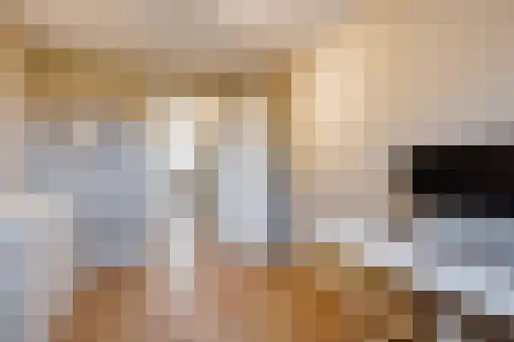 Abdij van Rijnsburglaan 8 Monster thumbnail 48