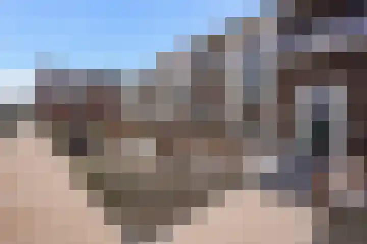 Abdij van Rijnsburglaan 8 Monster thumbnail 56