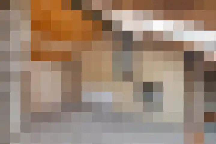 Abdij van Rijnsburgplein 49 Tilburg thumbnail 32