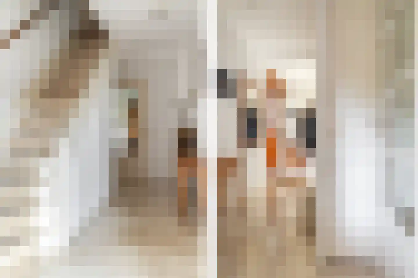 Abdij van Thornstraat 20 Bavel thumbnail 10