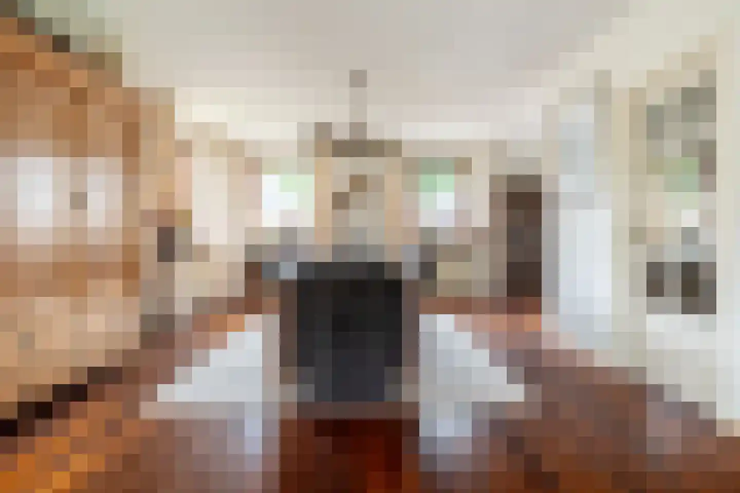 Abdij van Thornstraat 20 Bavel thumbnail 12