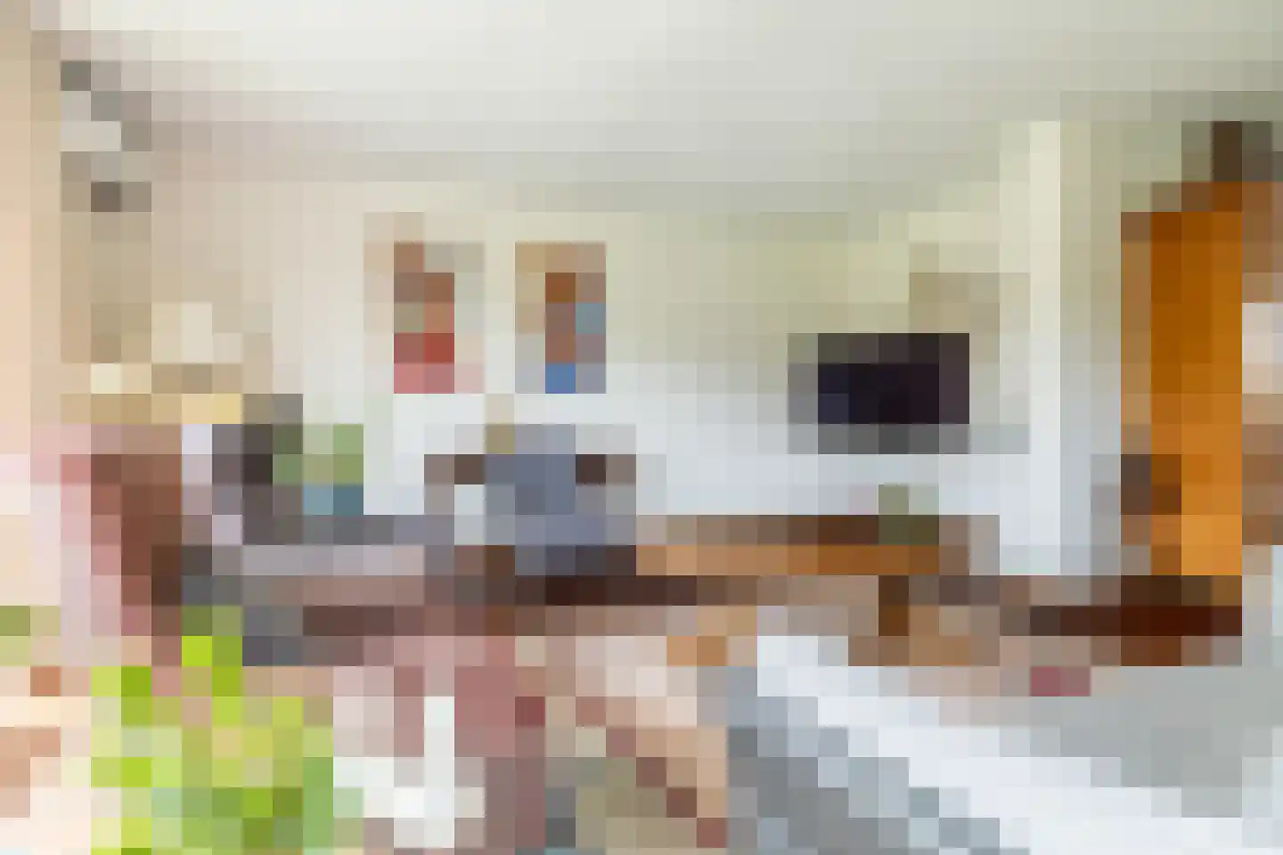 Abdij van Thornstraat 20 Bavel thumbnail 18