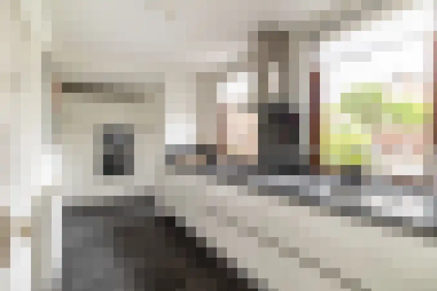 Abdij van Thornstraat 20 Bavel thumbnail 21