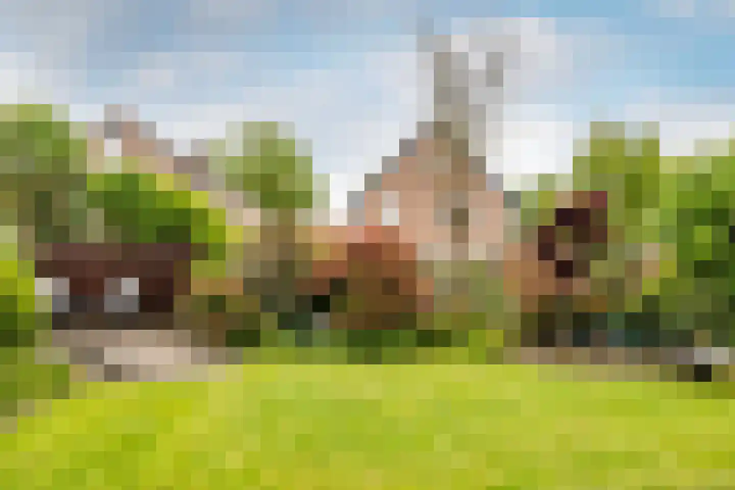 Abdij van Thornstraat 20 Bavel thumbnail 26