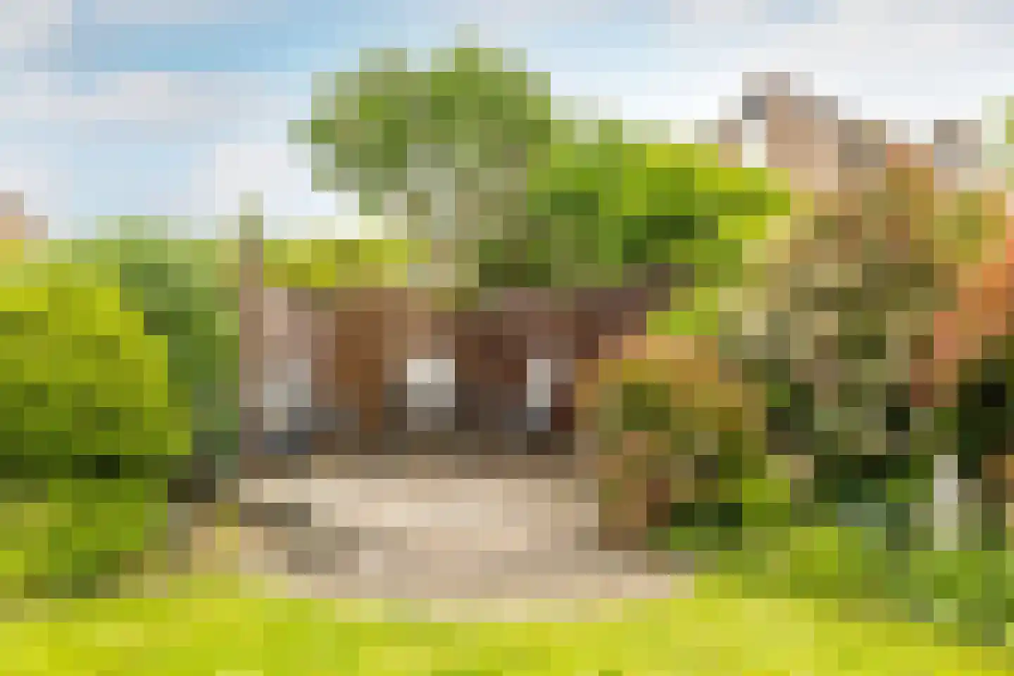 Abdij van Thornstraat 20 Bavel thumbnail 28