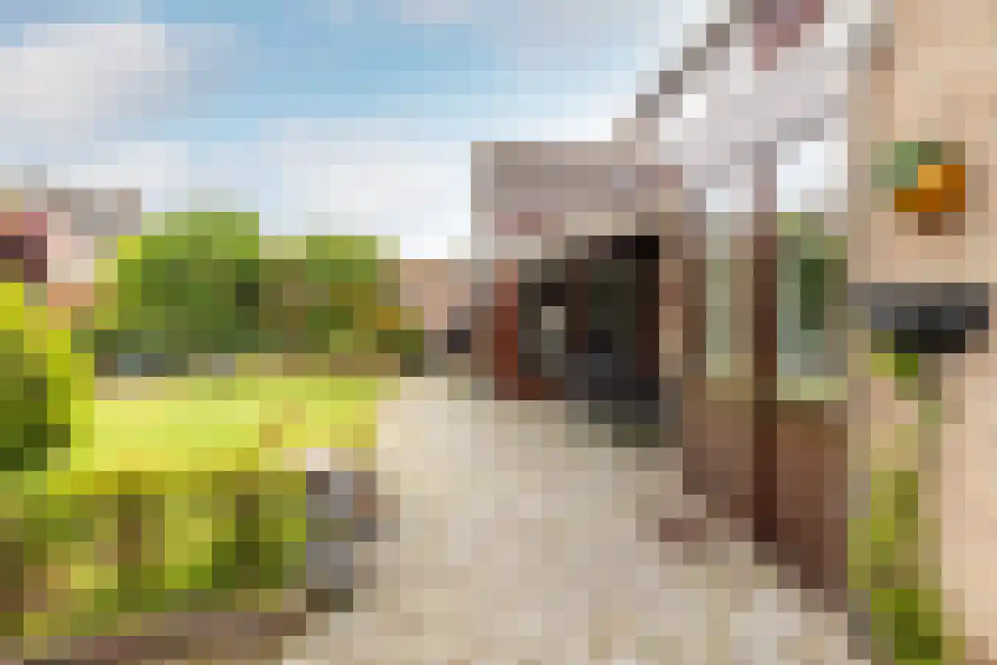 Abdij van Thornstraat 20 Bavel thumbnail 29