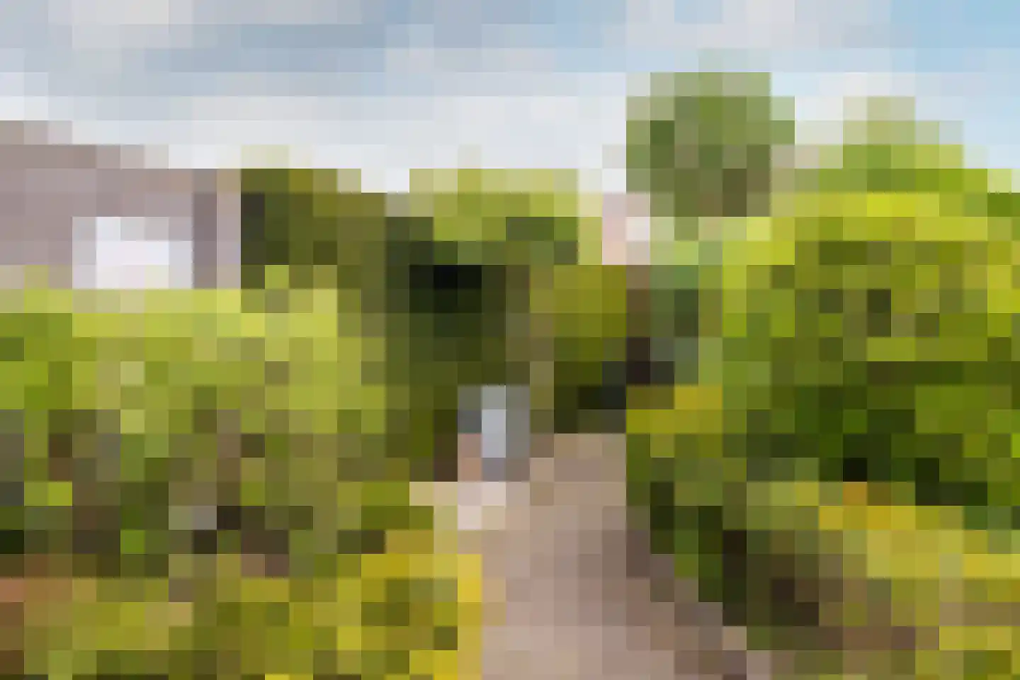 Abdij van Thornstraat 20 Bavel thumbnail 31