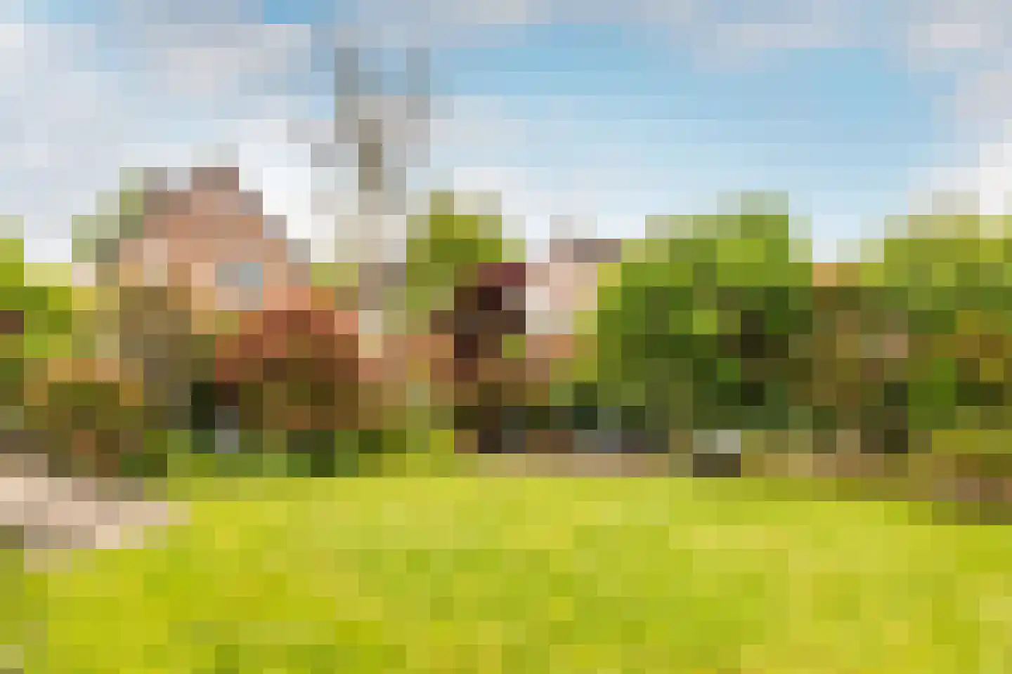Abdij van Thornstraat 20 Bavel thumbnail 32