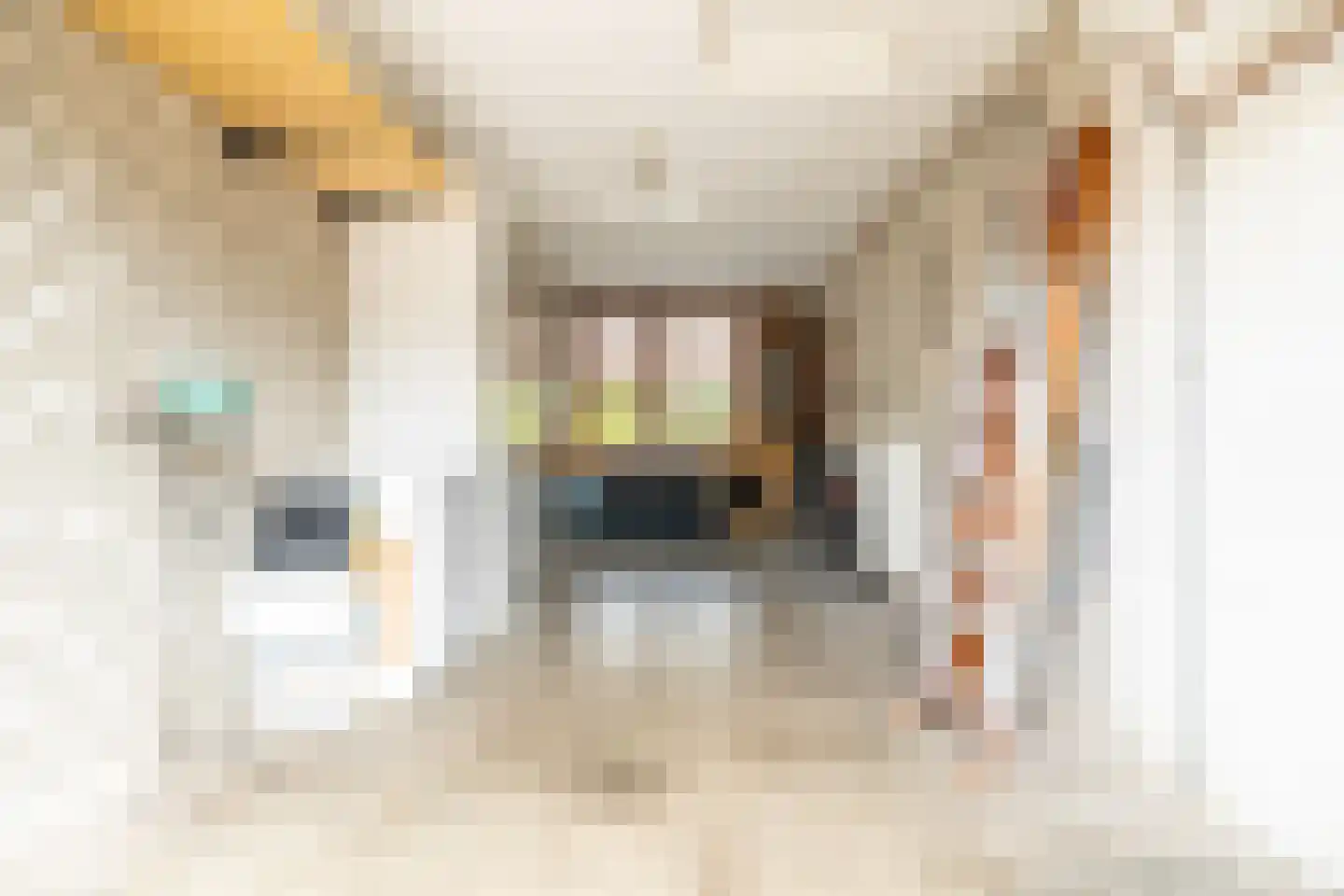Abdij van Thornstraat 20 Bavel thumbnail 36
