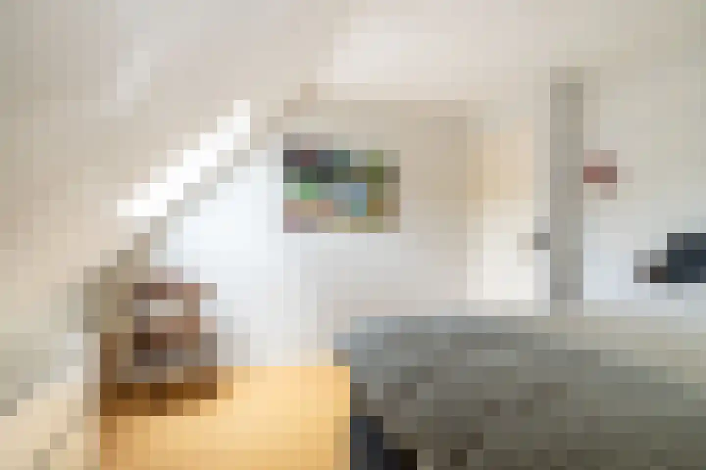 Abdij van Thornstraat 20 Bavel thumbnail 44