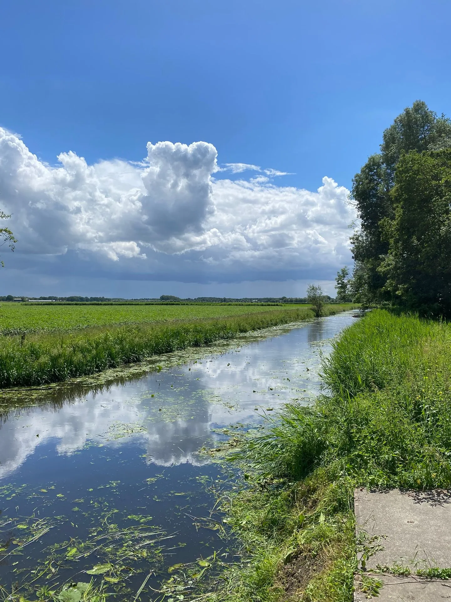 Abdijberg 91 Roosendaal thumbnail 66