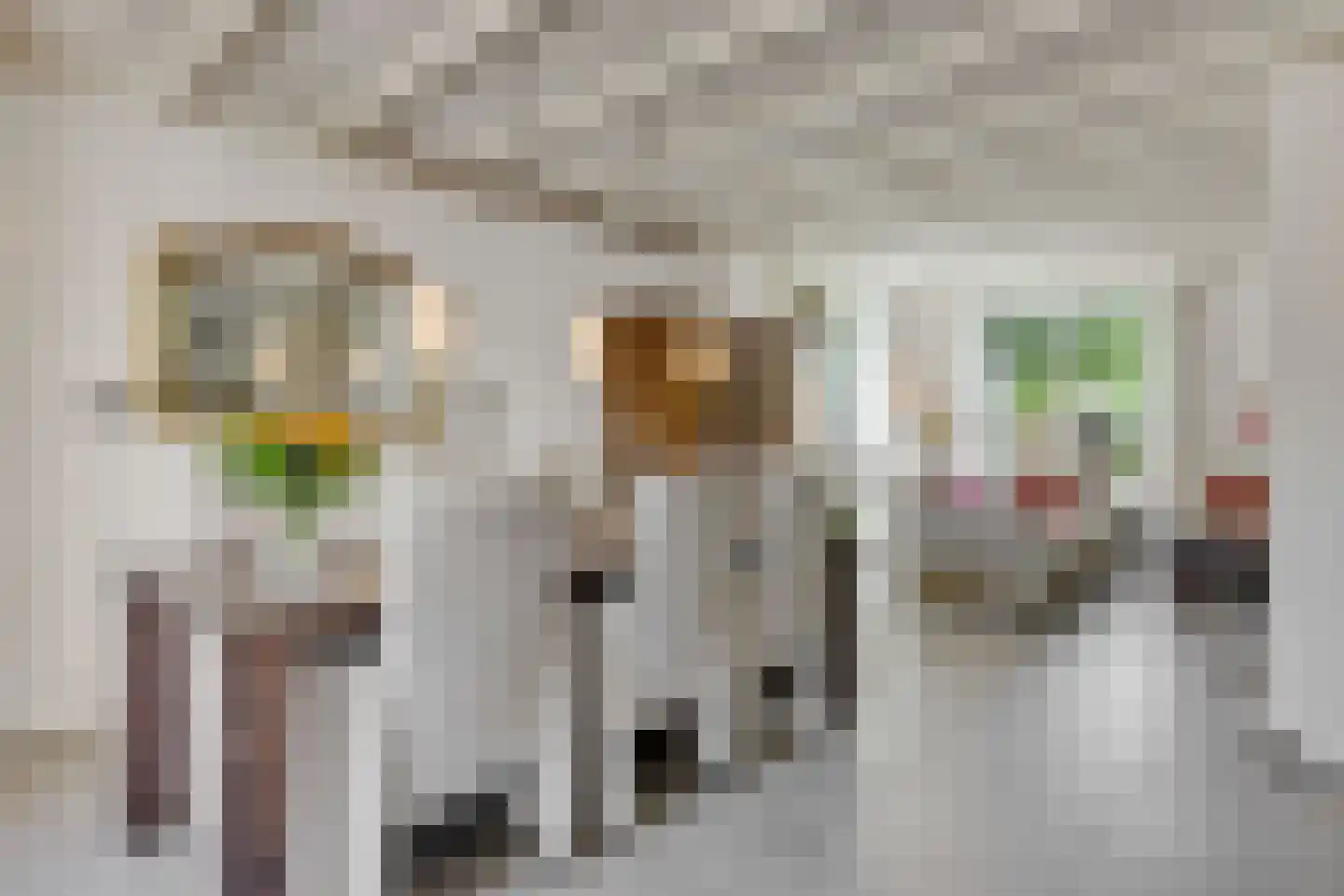 Abdijenlaan 18 's-Hertogenbosch thumbnail 10