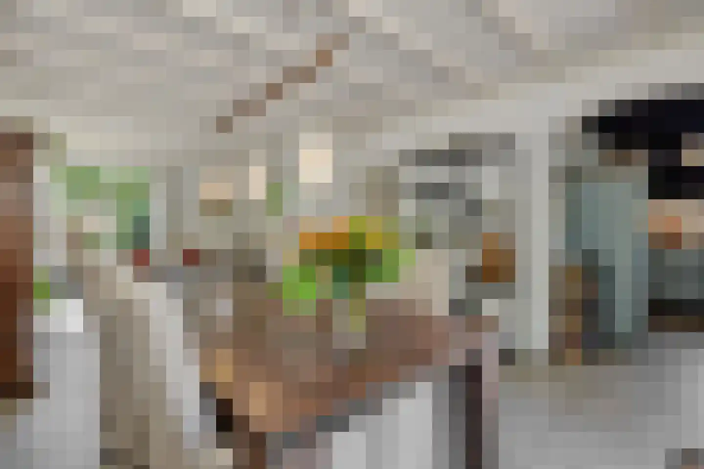 Abdijenlaan 18 's-Hertogenbosch thumbnail 11