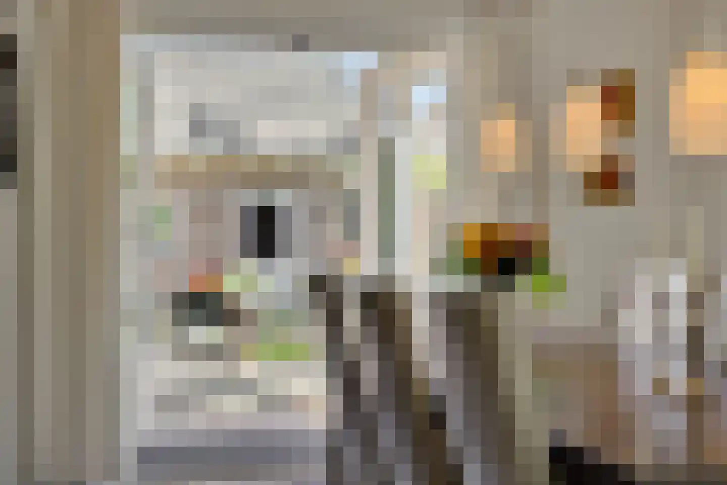 Abdijenlaan 18 's-Hertogenbosch thumbnail 12