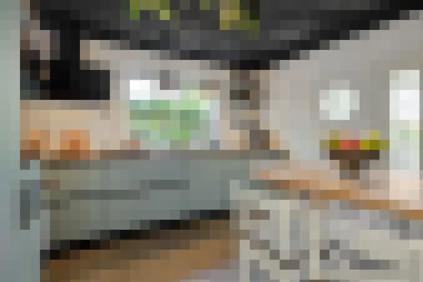 Abdijenlaan 18 's-Hertogenbosch thumbnail 13