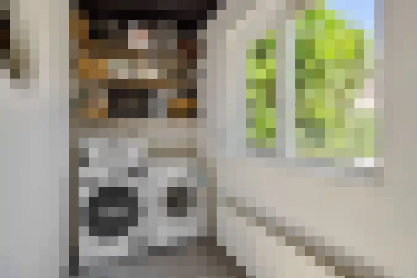 Abdijenlaan 18 's-Hertogenbosch thumbnail 16
