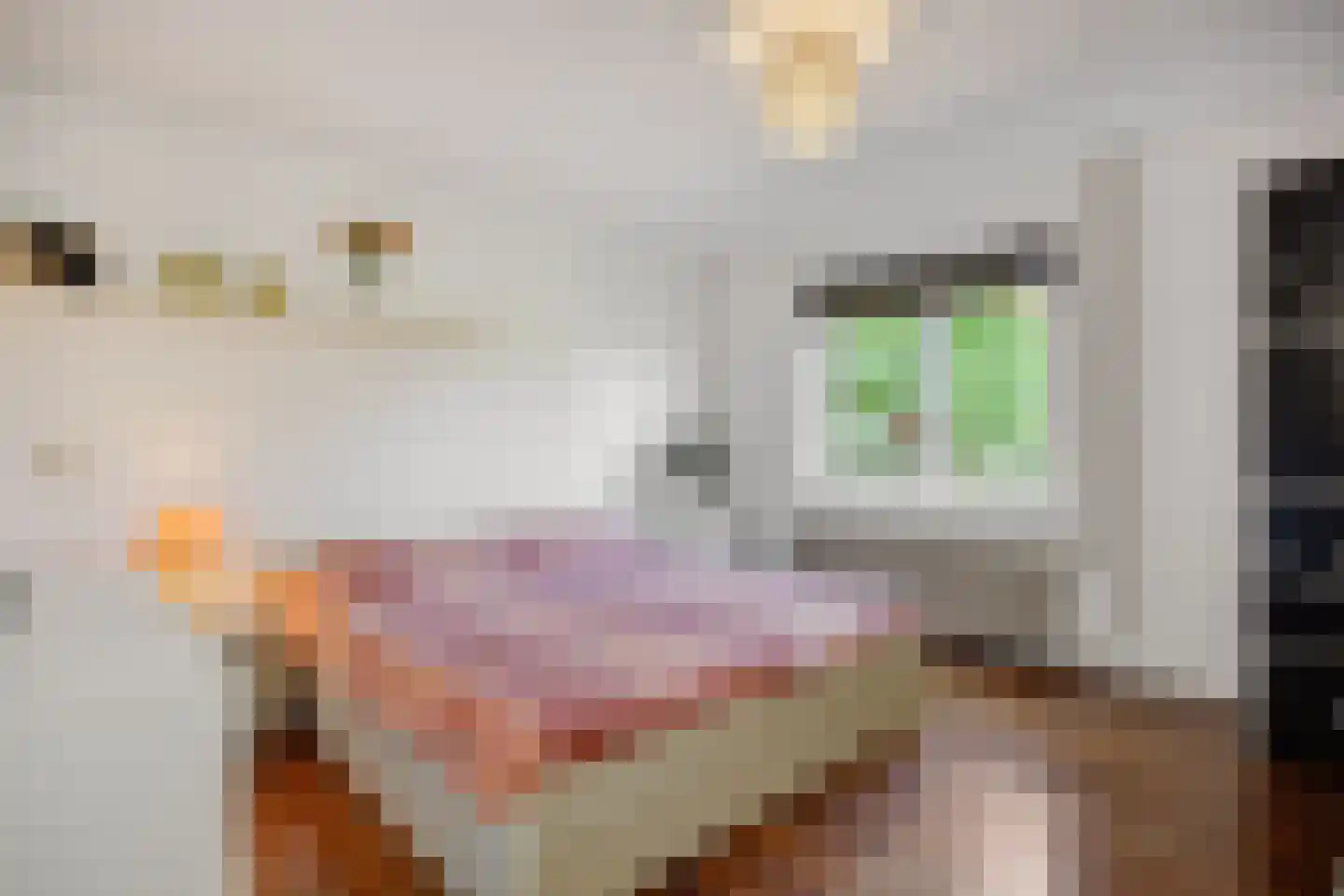 Abdijenlaan 18 's-Hertogenbosch thumbnail 20
