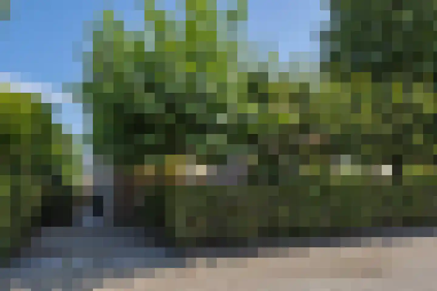 Abdijenlaan 18 's-Hertogenbosch thumbnail 31