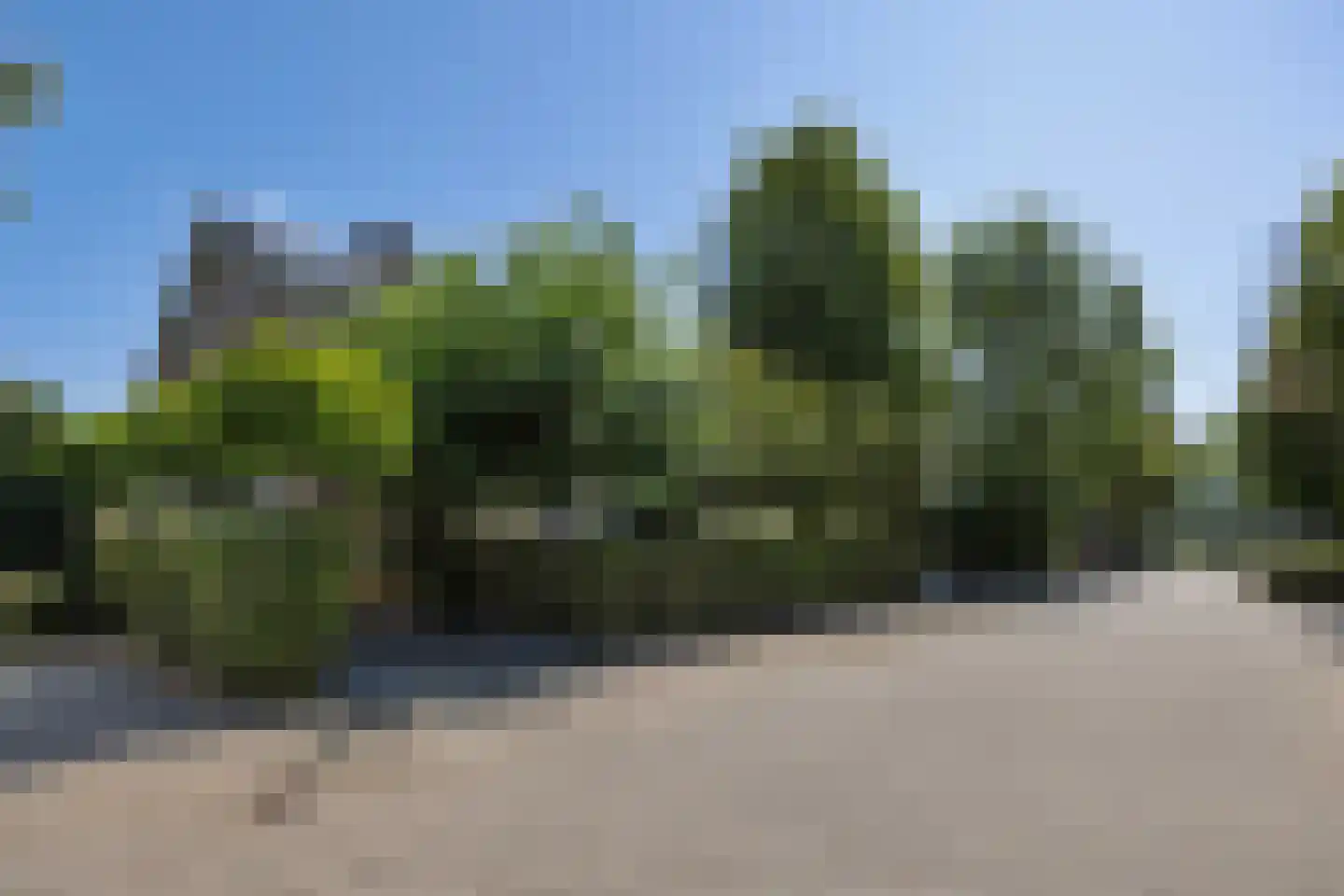 Abdijenlaan 18 's-Hertogenbosch thumbnail 4