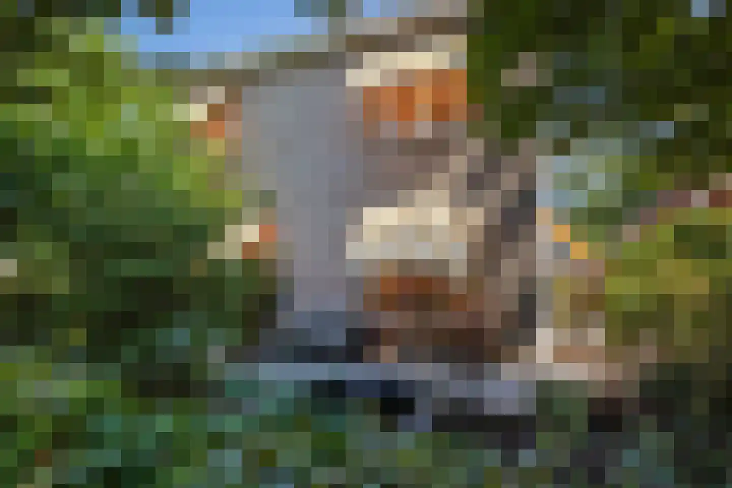 Abdijenlaan 18 's-Hertogenbosch thumbnail 5