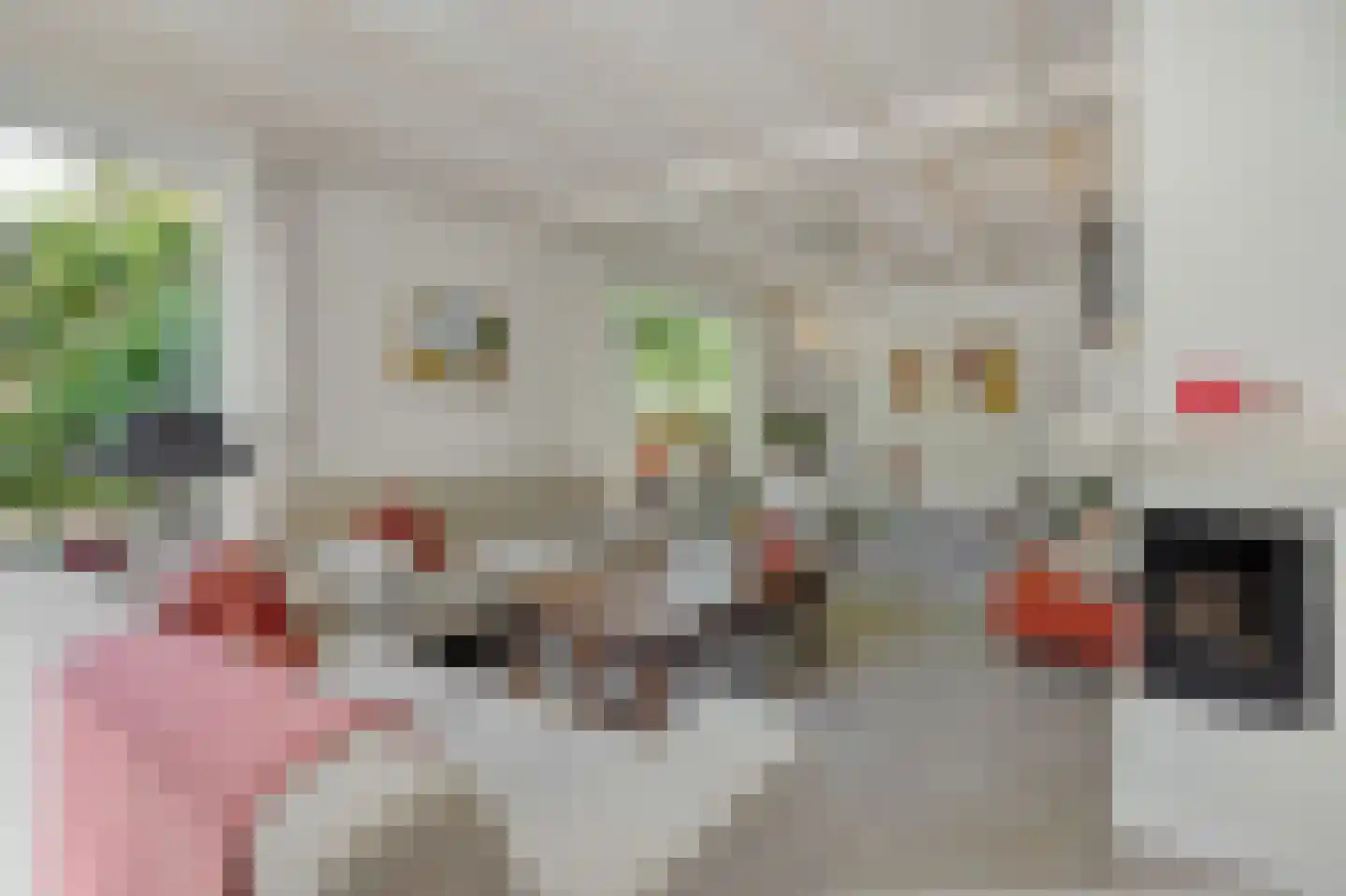 Abdijenlaan 18 's-Hertogenbosch thumbnail 8