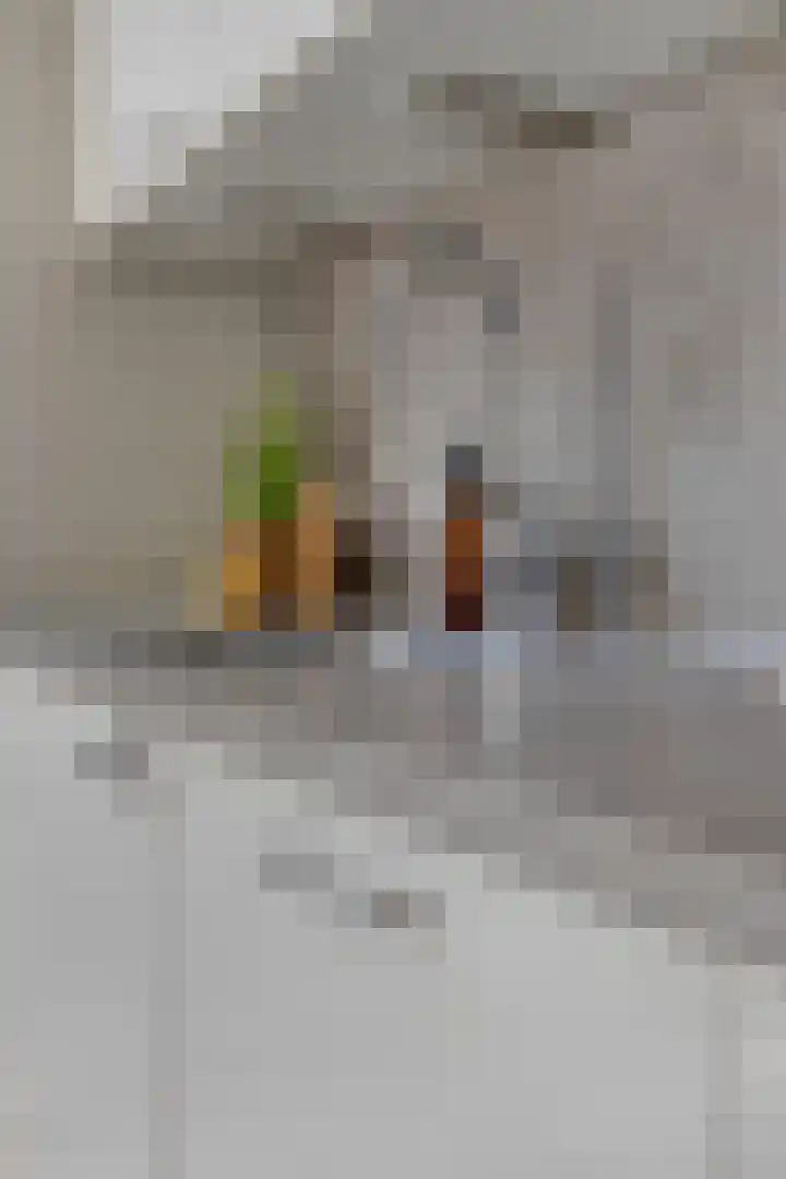 Abdijhof 10 Roermond thumbnail 10
