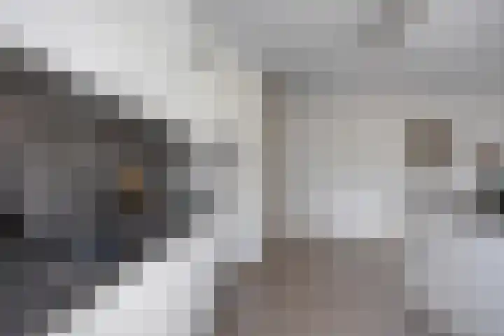Abdijhof 10 Roermond thumbnail 12