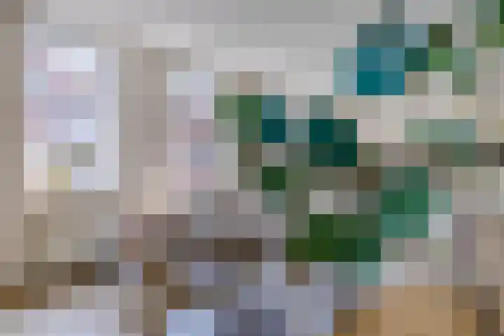 Abdijhof 10 Roermond thumbnail 20