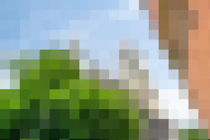 Abdijhof 10 Roermond thumbnail 43