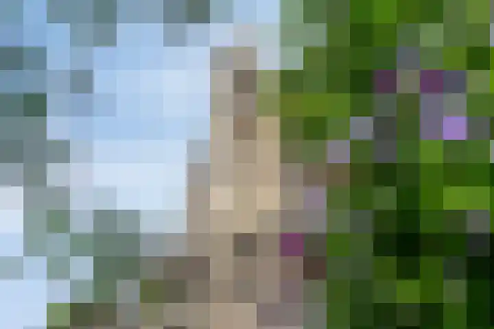 Abdijhof 10 Roermond thumbnail 44