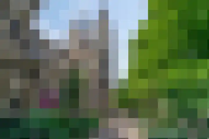 Abdijhof 10 Roermond thumbnail 53