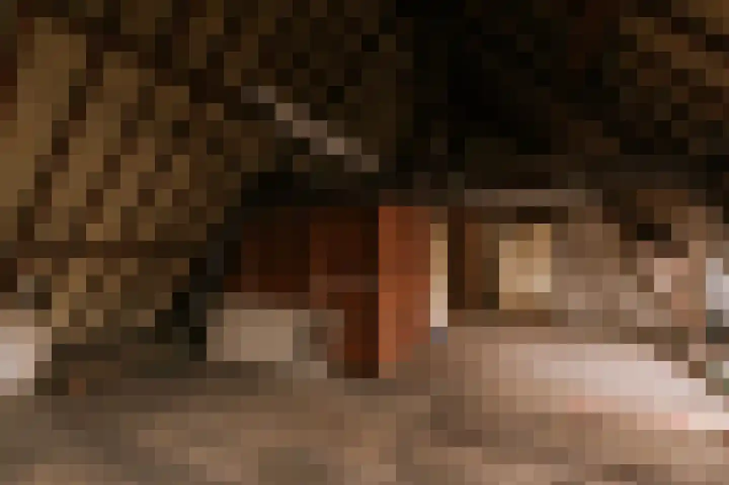Abdijhof 6 Roermond thumbnail 28