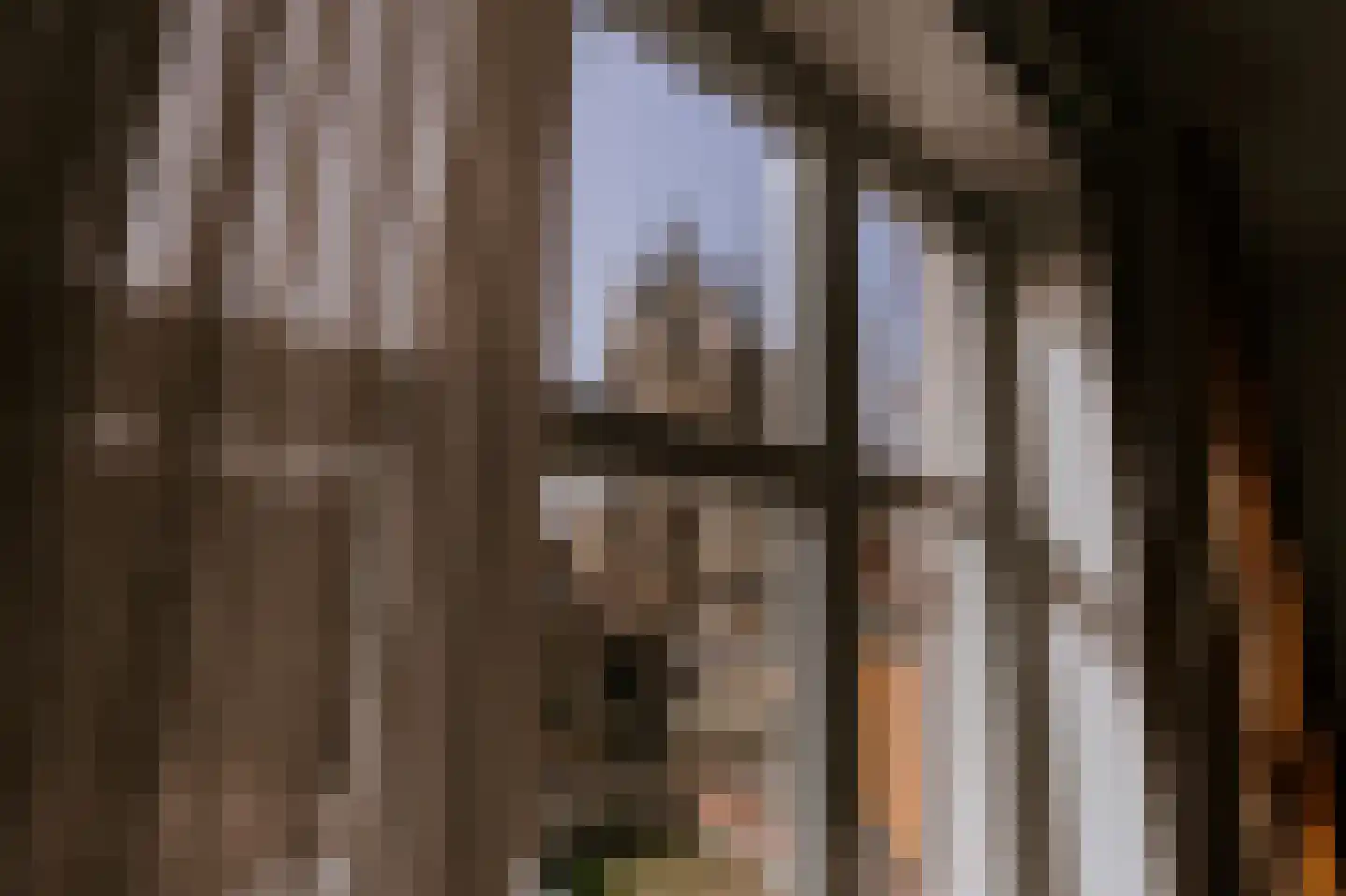 Abdijhof 6 Roermond thumbnail 4